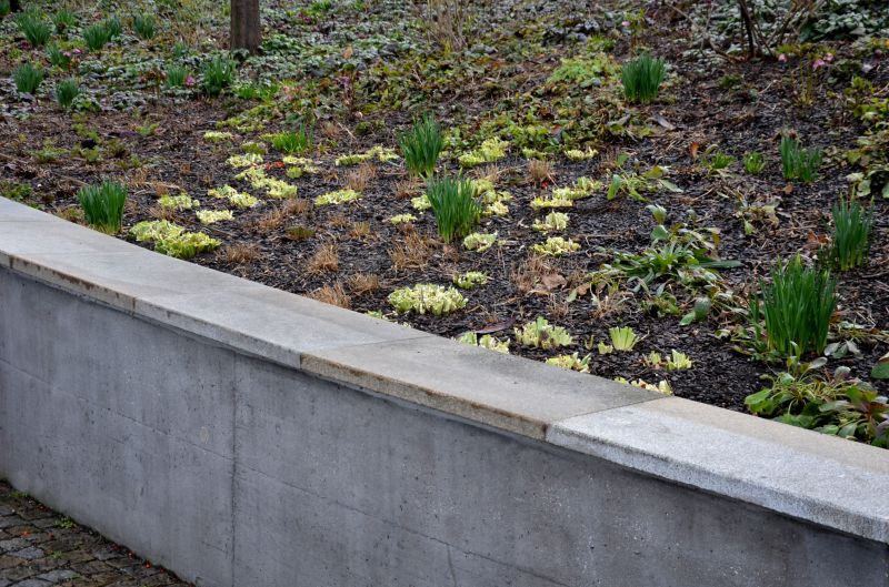 Retaining Wall Repair