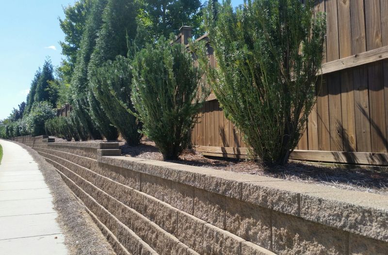 Landscape Wall Construction in Marin County, CA